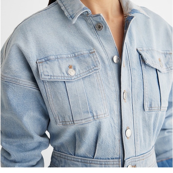 Express Denim Jumpsuit - Picture 2 of 9